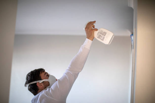 Best Affordable Mold Removal  in Orland Park, IL