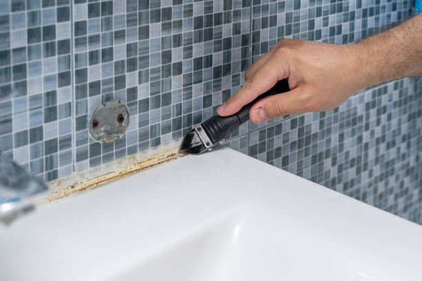 Best Commercial Mold Removal  in Orland Park, IL